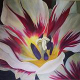 Carnivale-de-Nice-Tulip
