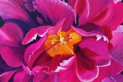 Magenta Magic